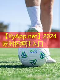 ⚽️2024欧洲杯：用双脚荡的叫什么器材