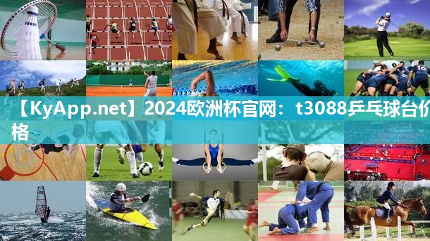 2024欧洲杯官网：t3088乒乓球台价格