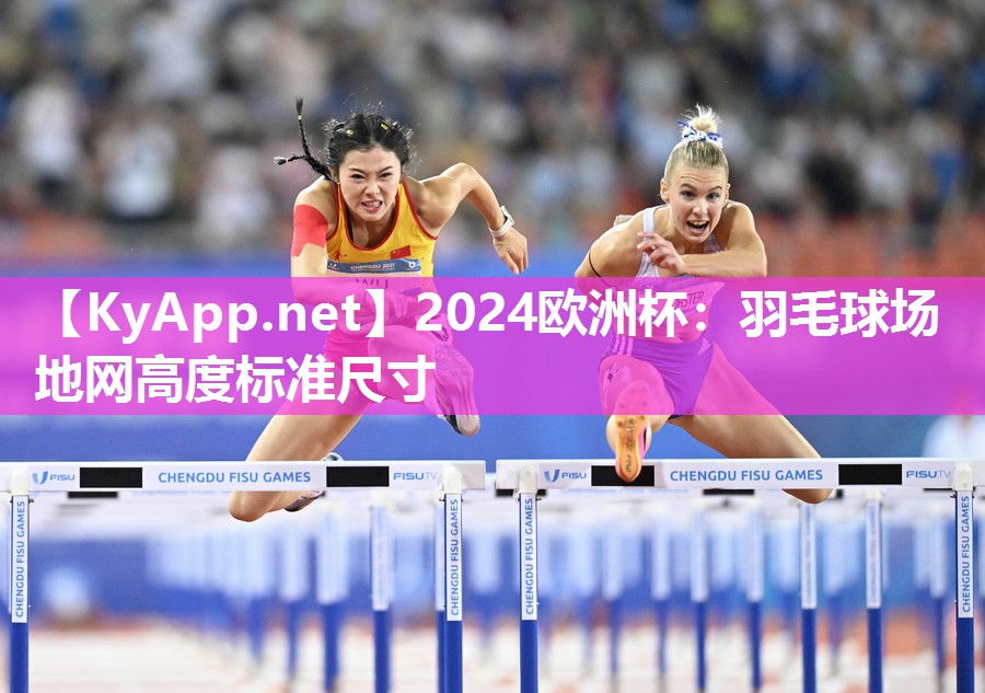 2024欧洲杯：羽毛球场地网高度标准尺寸