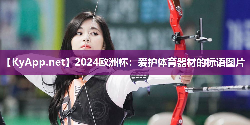 2024欧洲杯：爱护体育器材的标语图片