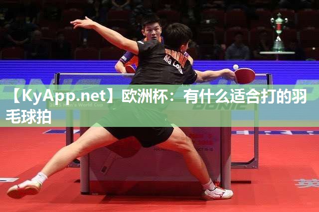 有什么适合打的羽毛球拍